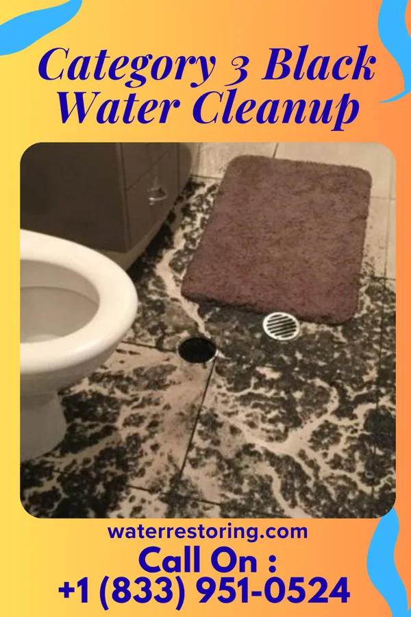 Category 3 Black Water Cleanup in East Atlantic Beach, NY