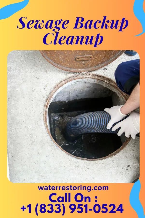 Sewage Backup Cleanup in East Atlantic Beach, NY