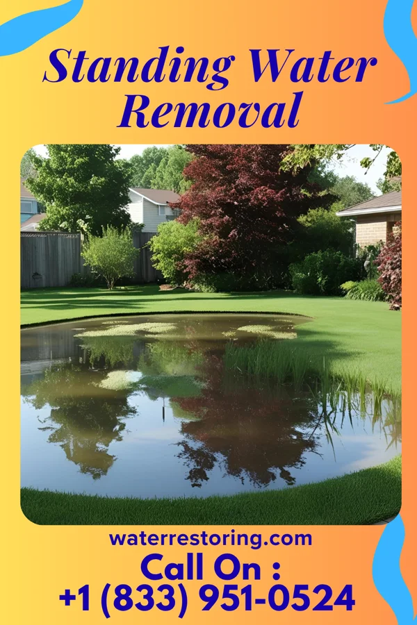 Standing Water Removal in East Atlantic Beach, NY